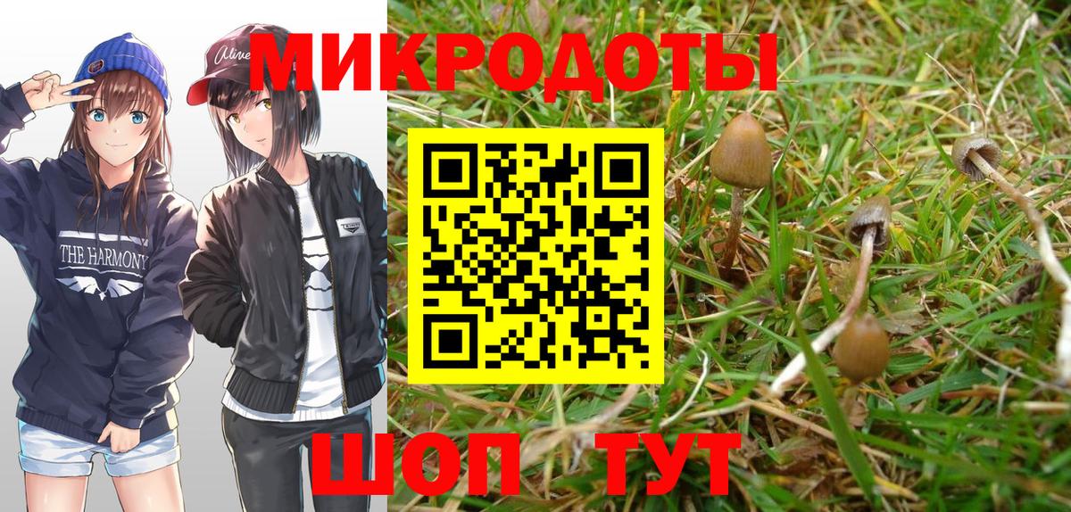 Псилоцибиновые грибы мицелий Нижний Тагил