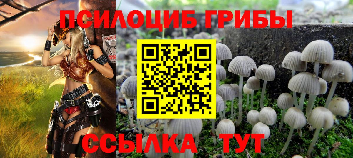 Галлюциногенные грибы Psilocybe  купить наркоту  Нижний Тагил  Вход с VPN 